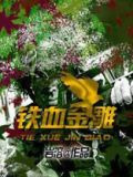 铁血金雕
