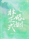 非正式婚姻全文免费阅读